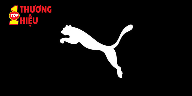 Thương Hiệu Giày Puma - Hành Trình Từ Khởi Nghiệp