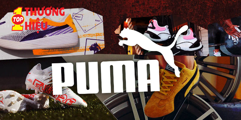 Thương Hiệu Giày Puma - Hành Trình Từ Khởi Nghiệp